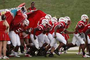 九游app官网下载-全国青少年皮划艇竞速赛在杭州顺利举行，青少年皮划艇夏令营活动